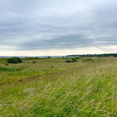 24-06-21 13-10-12 9750